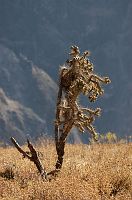 thumbs/DSC_2215.JPG