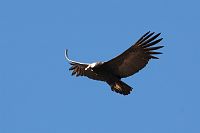 thumbs/DSC_2216.JPG