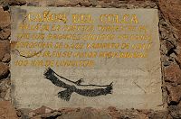 thumbs/DSC_2246.JPG