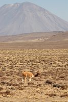 thumbs/DSC_2327.JPG