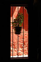 thumbs/DSC_3032.JPG