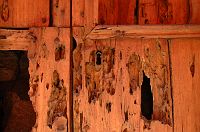 thumbs/DSC_3036.JPG
