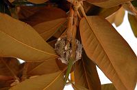 thumbs/DSC_3049.JPG