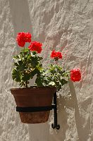 thumbs/DSC_3078.JPG