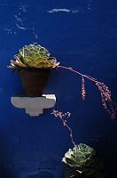 thumbs/DSC_3081.JPG