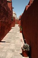 thumbs/DSC_3093.JPG