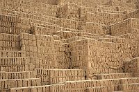 thumbs/DSC_3111.JPG