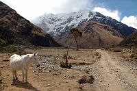 thumbs/DSC_0306.JPG