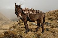 thumbs/DSC_0395.JPG
