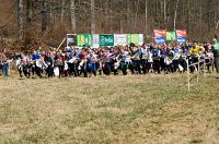 thumbs/DSC_2674.jpg