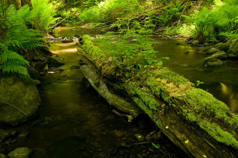 DSC_3475.jpg