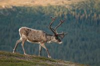 thumbs/DSC_4140.jpg