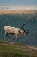 thumbs/DSC_4146.jpg