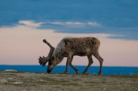 thumbs/DSC_4167.jpg