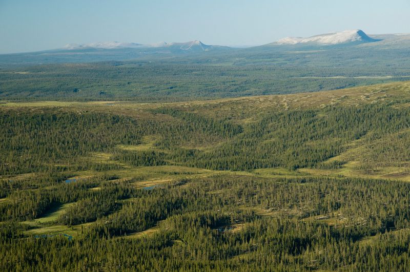 Original image