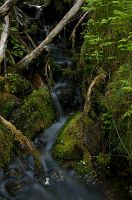 thumbs/DSC_4352.jpg