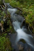 thumbs/DSC_4356.jpg