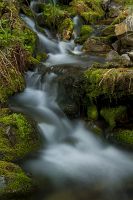 thumbs/DSC_4359.jpg