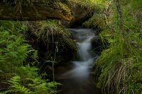thumbs/DSC_4362.jpg
