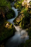 thumbs/DSC_4372_1.jpg