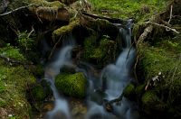 thumbs/DSC_4373.jpg