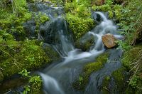 thumbs/DSC_4379.jpg