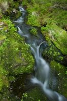 thumbs/DSC_4381.jpg