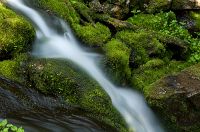 thumbs/DSC_4384.jpg