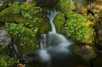 thumbs/DSC_4386_1.jpg