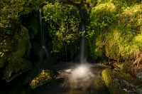 thumbs/DSC_4388.jpg