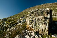 thumbs/DSC_4396.jpg