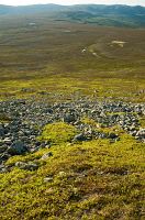 thumbs/DSC_4420.jpg