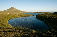 thumbs/DSC_4443.jpg