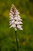 thumbs/DSC_4530.jpg