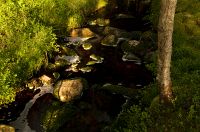 thumbs/DSC_4535.jpg
