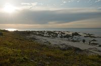 thumbs/DSC_4873.jpg