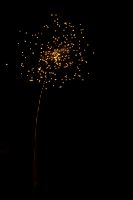 thumbs/DSC_7451.jpg