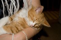thumbs/DSC_3426.jpg