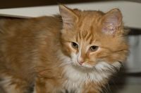 thumbs/DSC_3427.jpg