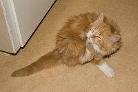 thumbs/DSC_3429.jpg