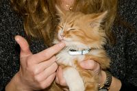 thumbs/DSC_3435.jpg