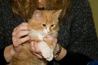 thumbs/DSC_3438.jpg