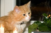 thumbs/DSC_3440.jpg