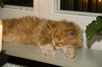 thumbs/DSC_3461.jpg