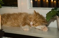 thumbs/DSC_3463.jpg