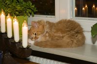 thumbs/DSC_3466.jpg