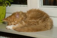 thumbs/DSC_3468.jpg