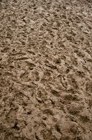 thumbs/DSC_3607.jpg