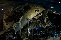 thumbs/DSC_0618.jpg
