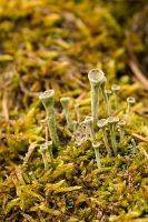 thumbs/DSC_0887.jpg
